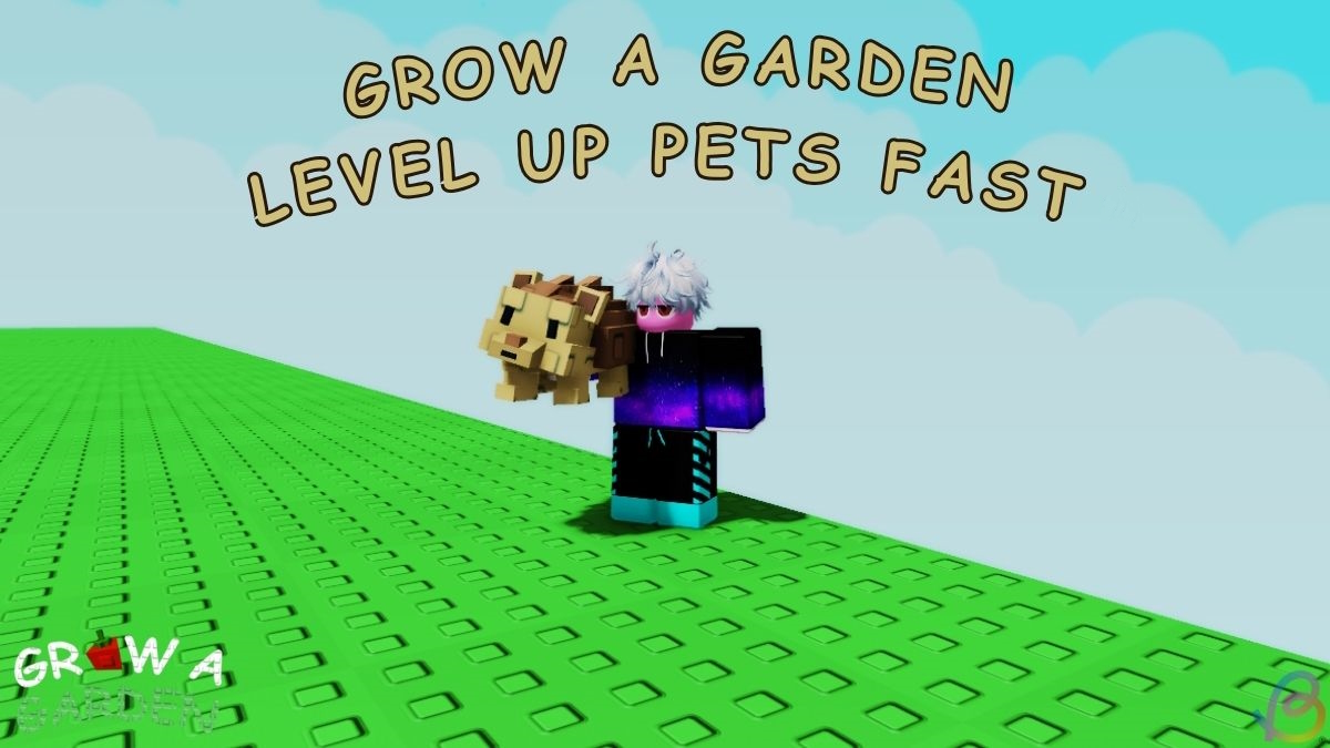 Effective Strategies to Level Pets to 50 Quickly in Grow a Garden