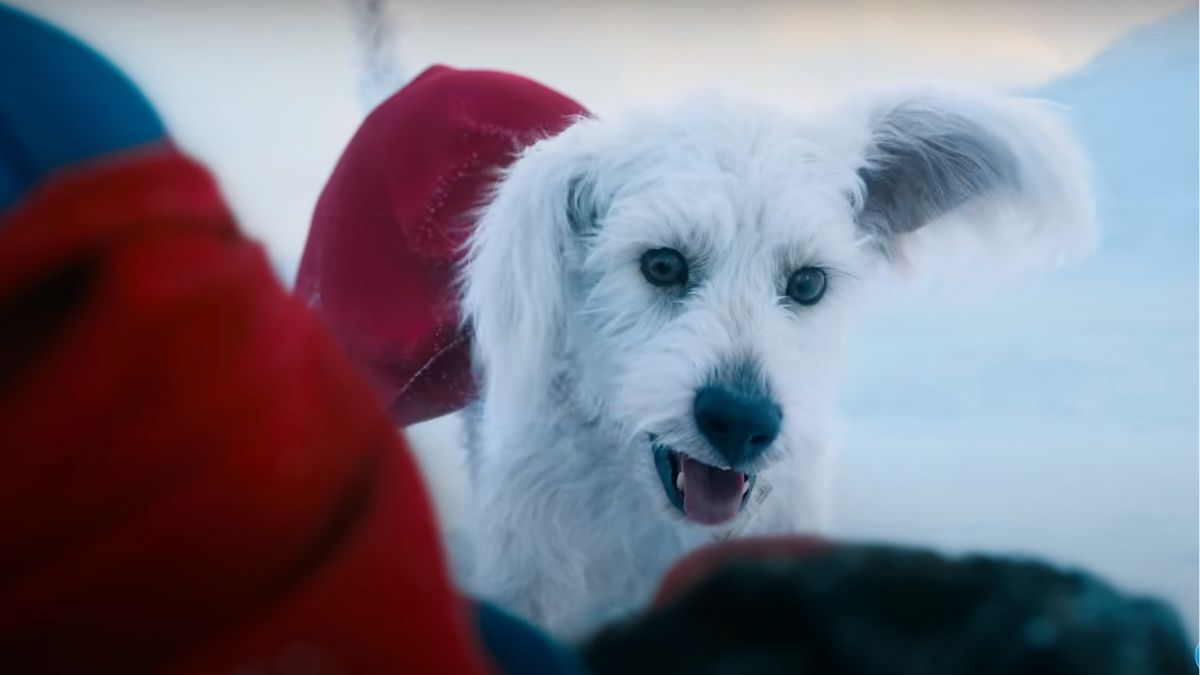Who Is Krypto in Superman (2025): Origin, Breed, and Abilities Explained